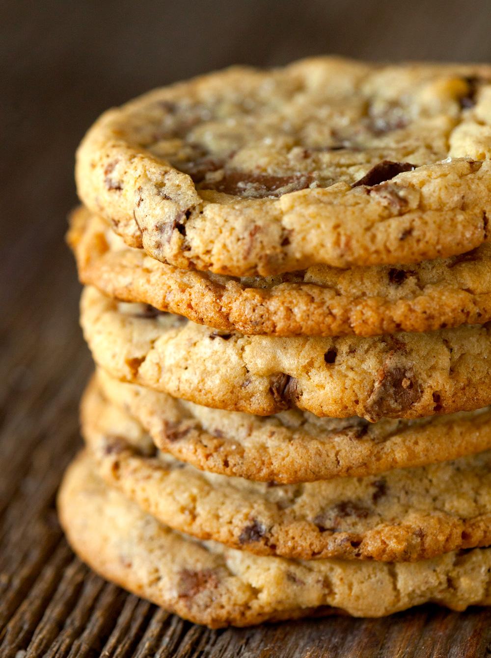 chocoholic-chocolate-chunk-cookies