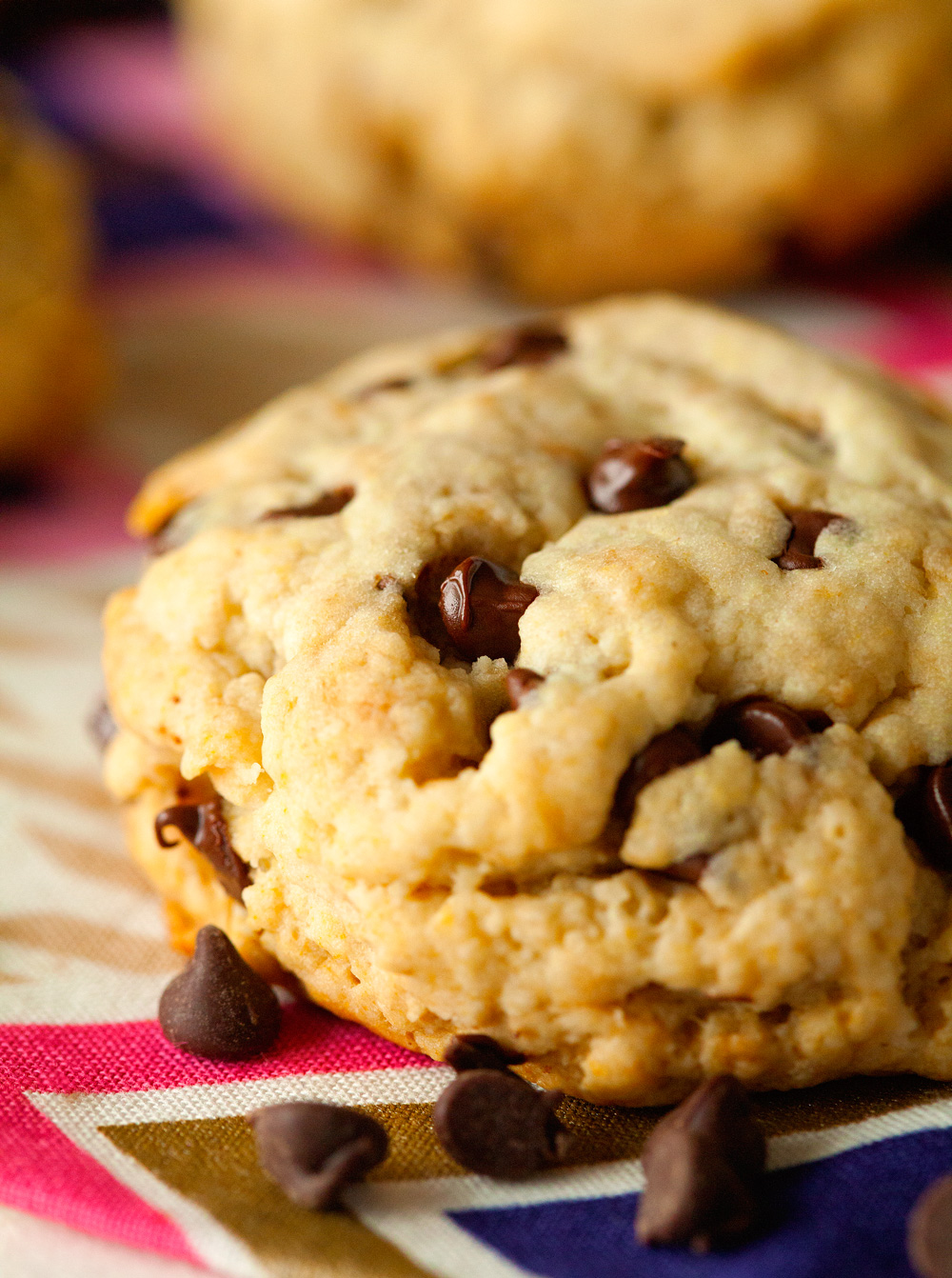 Healthy Chocolate Chip Cookies The Frugal Farm Wife - Rezfoods - Resep ...